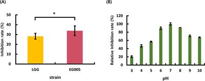 Genomic insights and functional evaluation of Lacticaseibacillus paracasei EG005: a promising probiotic with enhanced antioxidant activity